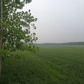 西华牧原八场.jpg 西华牧原八场.jpg